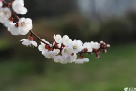 爱上临沂③接下来，临沂将是这样的……图片