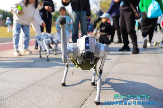 人人都可当“河长”！2025年杭州白马湖环湖毅行激发市民治水热情