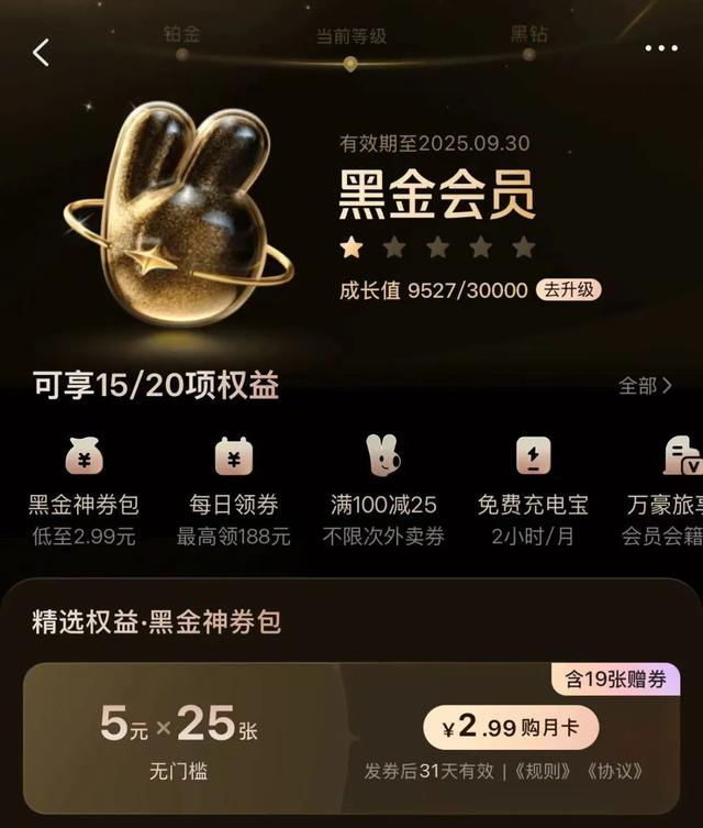 淘宝推出大会员体系，能满足它做超级入口的野心吗？