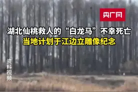 湖北仙桃救人的“白龙马”不幸死亡 当地计划于江边立雕像纪念图片