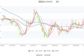 深振业A：2024年上半年亏损3.46亿元图片