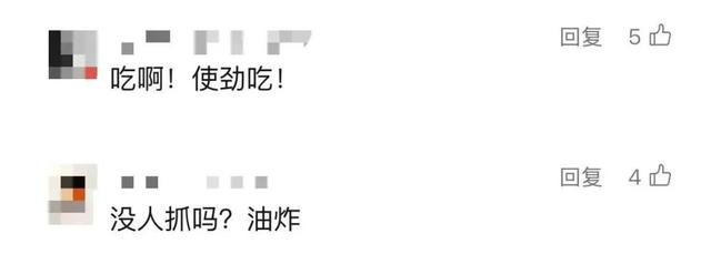 “被滋了一脸，还舔了舔……”近期很多人中招已崩溃！不是雨！不是空调水！专家提醒