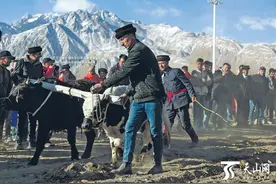 帕米尔高原上的农事春典图片