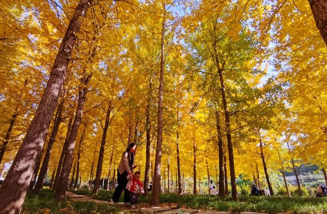 快看，永城限定美景正当时