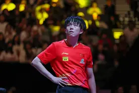 奥运一年后丢冠不稀奇，但究竟谁来扛起男乒的大旗图片