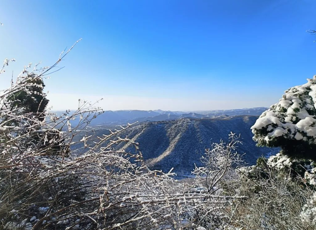 “洛阳怎么一下雪，就封神。”