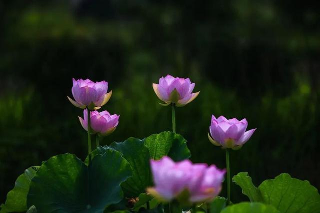 来六合，过个惬意的夏天！