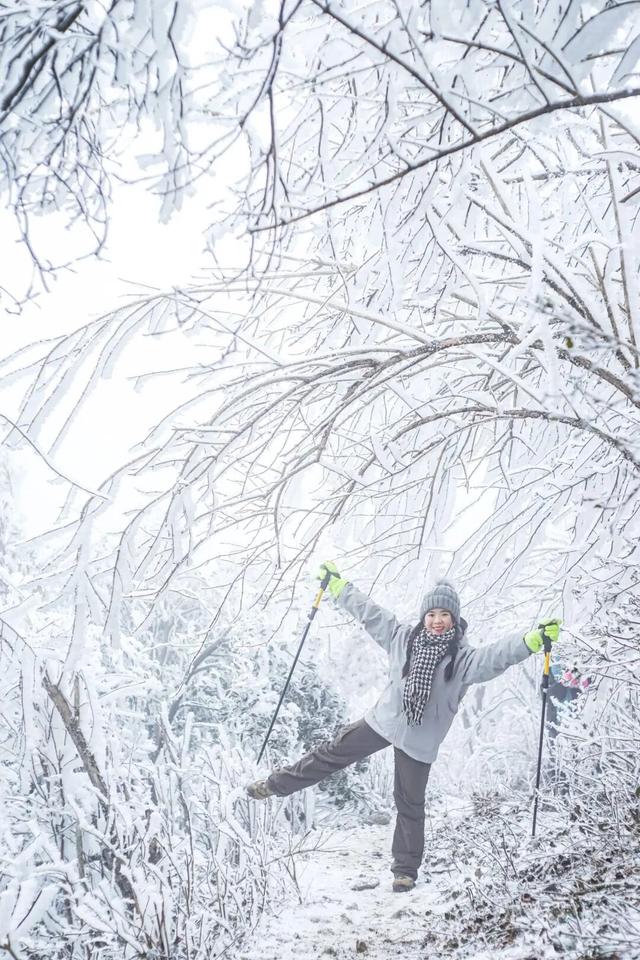 多地下雪！广西限定版“冰雪世界”已上线