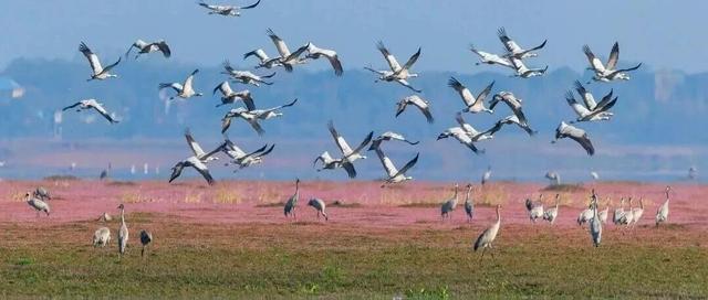 倪萍、朱迅现身江西，赴一场文化与美景之约