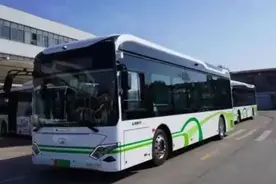 上海这些“特别”的公交车，你都乘过吗？图片