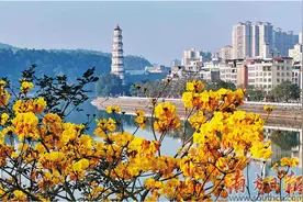 风起花香溢 高凉春色浓图片
