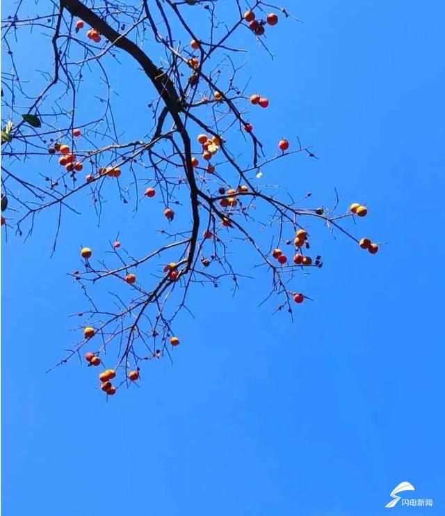 组图丨一大波美图来袭！泰山景区9个赏秋地超出片