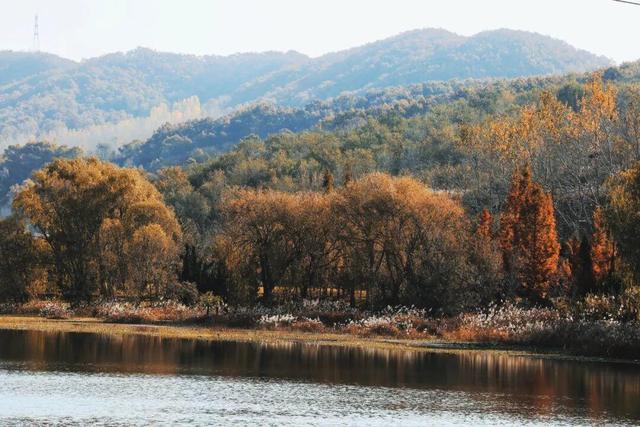 还在找威海初冬小众打卡地？这条河岸藏着惊喜