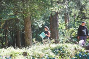 昆明冬日绿意暖