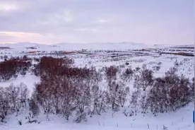 雪后草原美如画图片