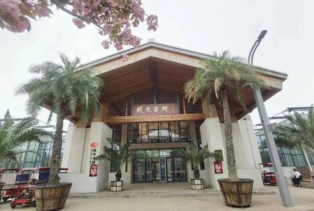 推荐4家石家庄小众宝藏书店 一起感受阅读的魅力