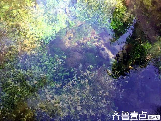 水韵悠悠访泉林