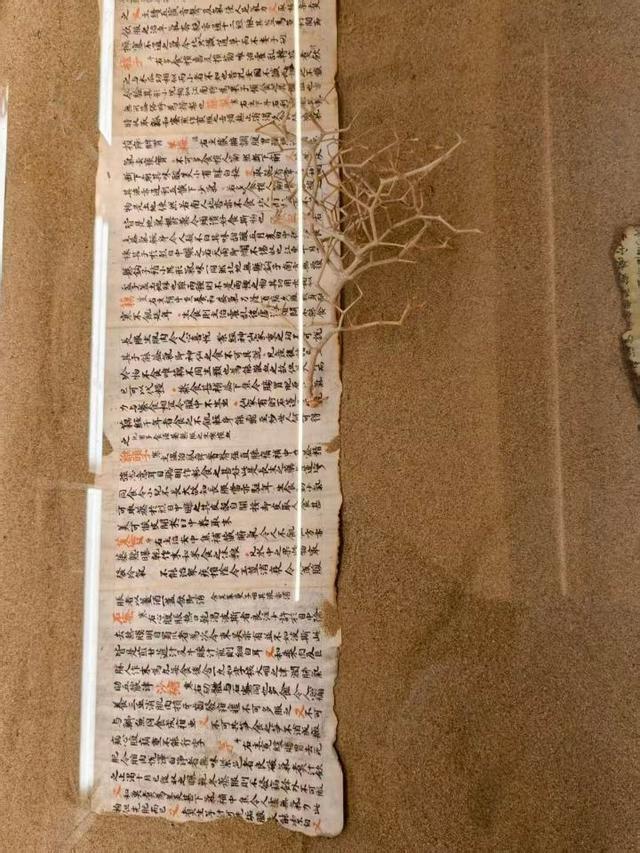 在杭州街头C位出道！最近这几个地方有点热闹，你去打卡了吗