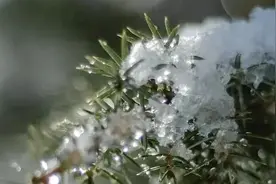 顺义发布道路结冰黄色预警，这些出行防滑小技巧给您稳稳的安全！图片