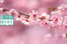 来了！新闻早班车3月10日图片
