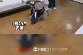 但凡有一次对视都得哭出来，女孩客厅摔倒 父女上演极限拉扯，网友：还好哭泣开关没被逮住图片