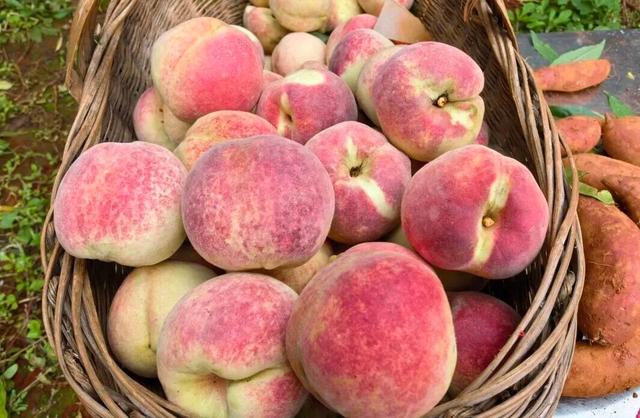 熟了熟了！周末走起！昆明采摘地图“上新”，速来eat→