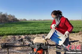 新疆兵团乡村振兴中的“飞手”夫妻图片