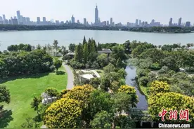 探访南京首个无障碍花园：山水丛林间守护特殊群体图片