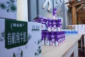 2024百队杯篮球赛落幕 蒙牛迈胜助力小球员迈向胜利！图片
