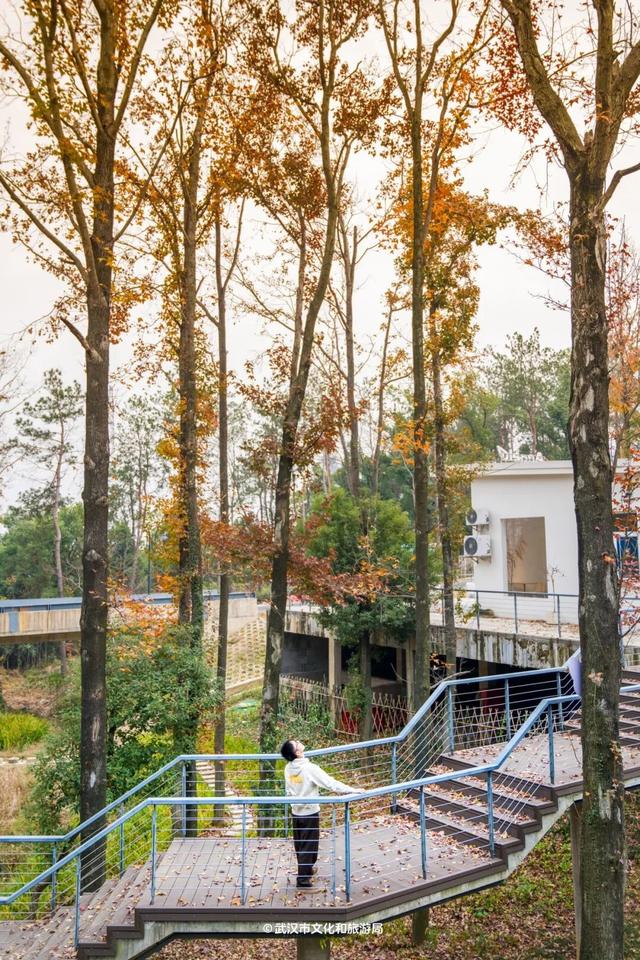 抢先看！武汉最神秘的塔，定期开放！