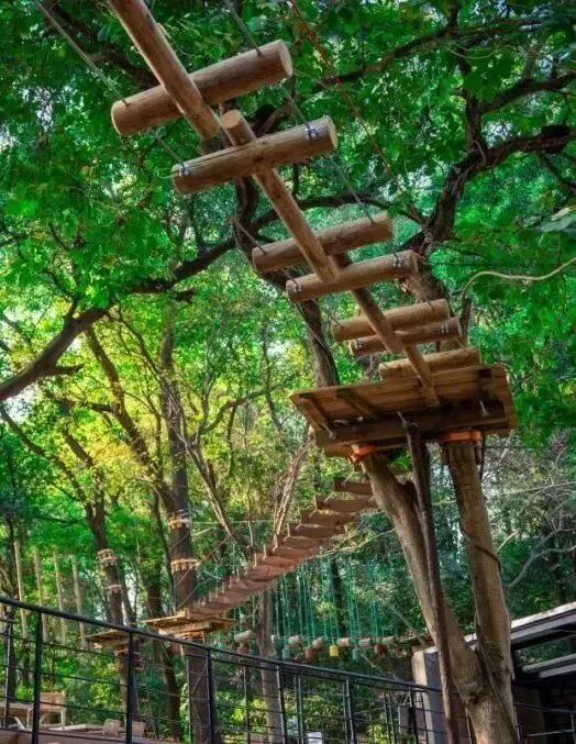 上榜啦！广东文旅消费热门场景，白云区+3！