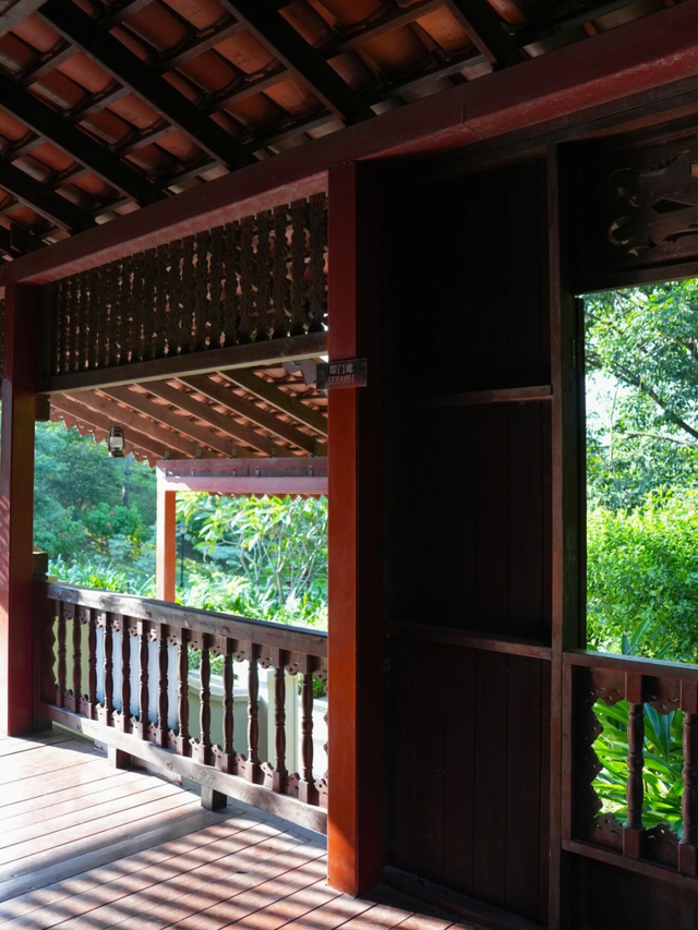 东莞植物园又“粉”了，是时候出发了！