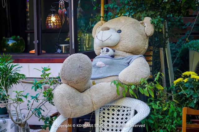 趵突泉涌玉龙，青石板映唐宋灯火，济南版“江南”在此