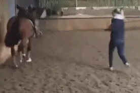 丑闻曝光，她宣布退出巴黎奥运会！曾赢得6枚奥运奖牌图片
