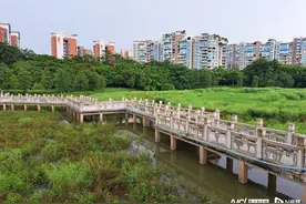 防洪湖曾投四千万造水生态，夏季几近干涸！松山湖多部门回应图片