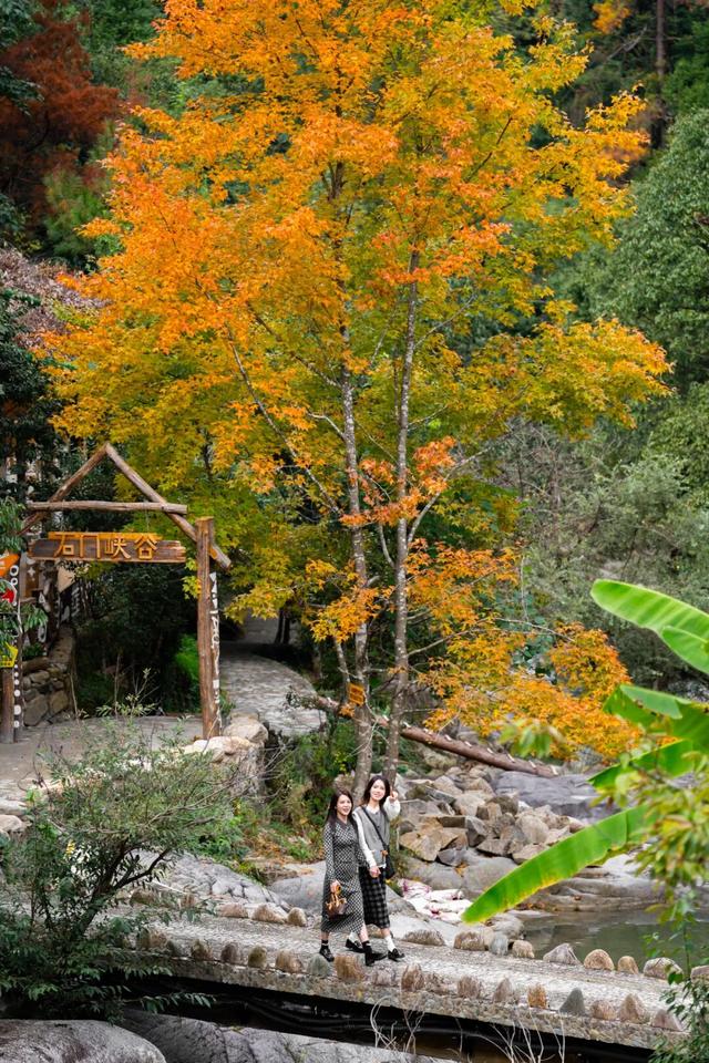 “秋假”第一站！上饶把最美的颜色，“晒”给你看