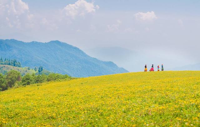鲜花、云海、草甸 四川米易“云端秘境”马鹿寨迎来最美时刻｜图集