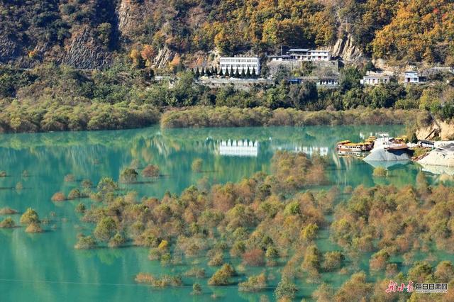 白水江遇白龙江 文县初冬藏着最动人的江河秘境