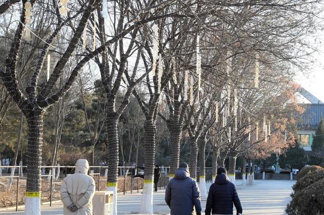 抢先看！马年迎春灯会布展正酣