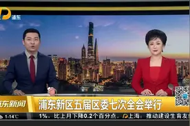 浦东新区五届区委七次全会举行视频封面