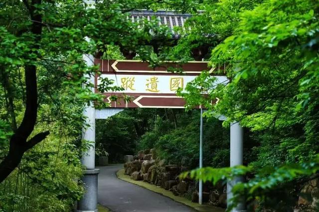 跟着音乐节去旅行，邂逅1800年的吴都风华