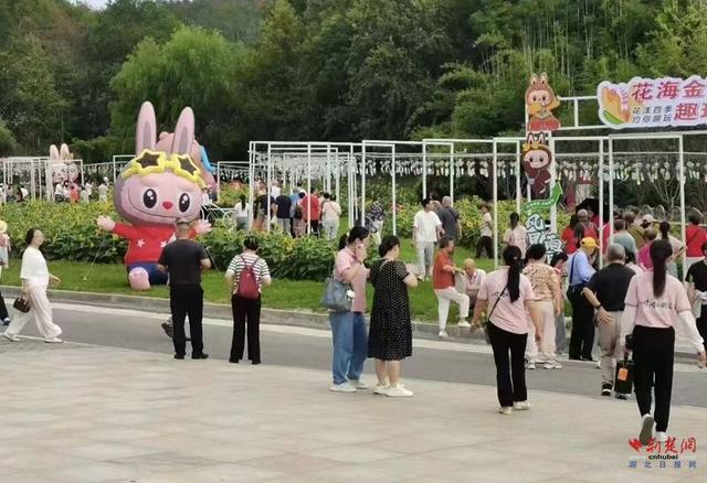 英山文旅“十一套餐”吸睛又吸金，全县各景区进入“人从众”模式
