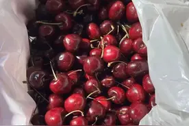 “断崖式”降价！超万吨车厘子到达广州！还会再降……图片