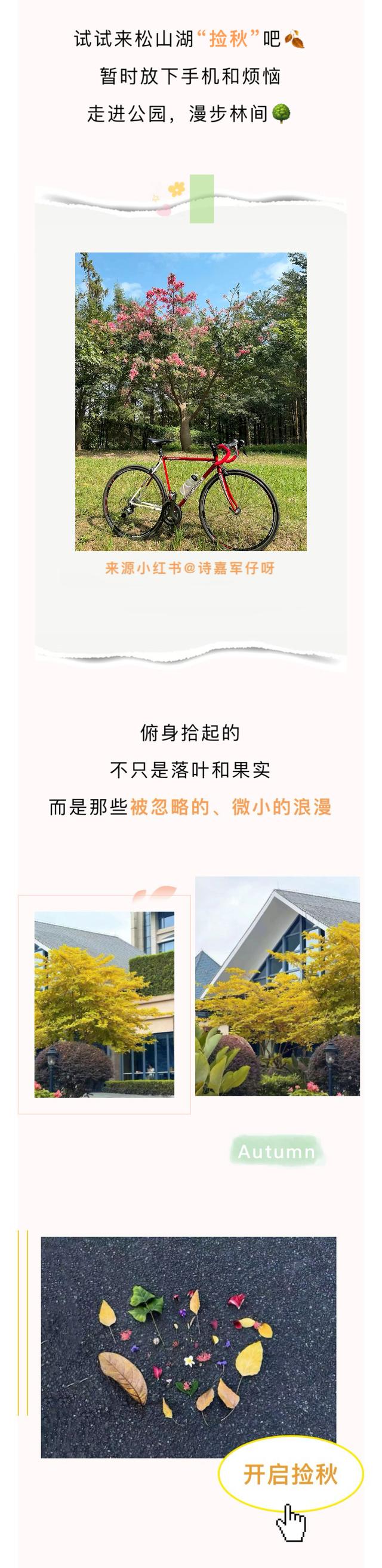 最美松湖｜烦恼No，捡秋Go！来这里一键切换治愈模式