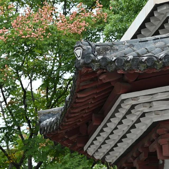 跟着数字去打卡！鄂州版citywalk