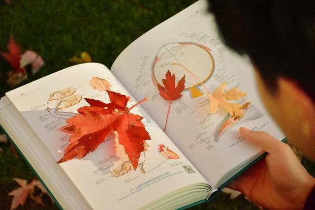 藏不住了！攒了整个秋天的北医美景，立冬前全部分享！