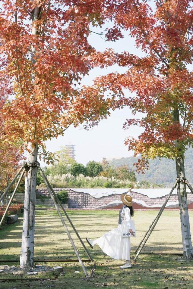 跟着这条线路，周末赏秋去！