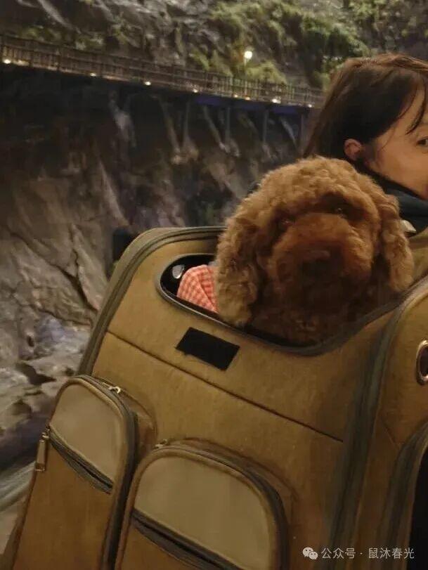 自驾：富饶的上饶