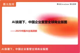 2025中国AI出海洞察图片