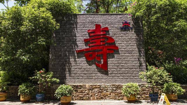 不只是一场演出：在广西深山，我活进了白裤瑶的24小时